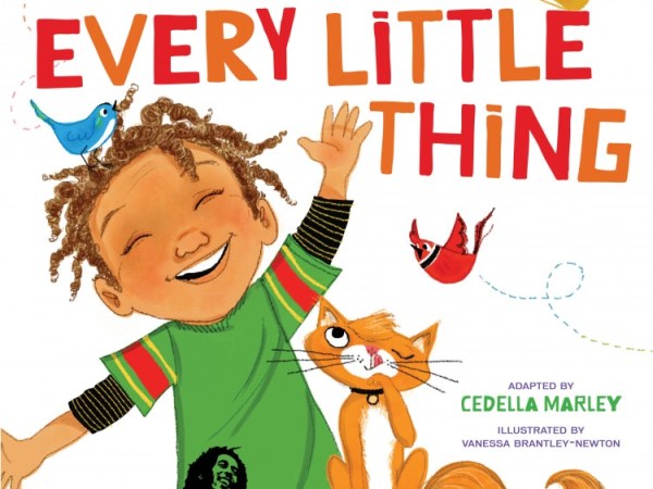Book Review: EVERY LITTLE&nbsp;THING