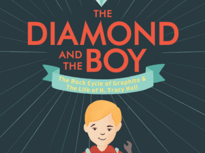 Book Review: THE DIAMOND AND THE&nbsp;BOY